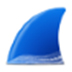 Wireshark