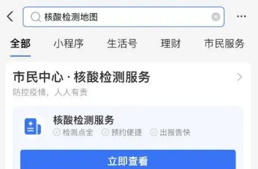 支付宝怎么查核酸检测点