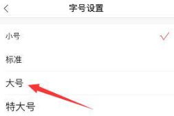 凤凰新闻字号设为大号怎么设置