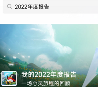 qq2022年度报告怎么进入怎么看