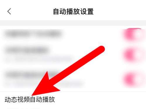 哔哩哔哩动态视频自动播放在什么地方关掉