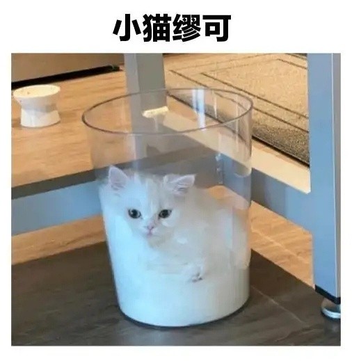 抖音可颂猫表情包有哪些