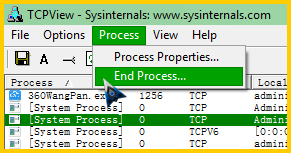 TCPView1