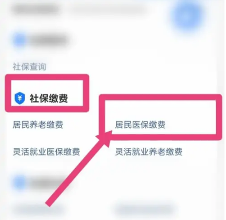 支付宝怎么缴纳医保费