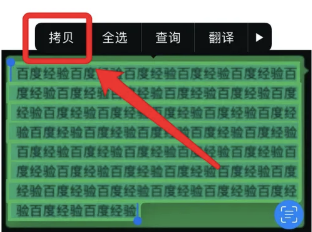 苹果提取文字功能怎么用
