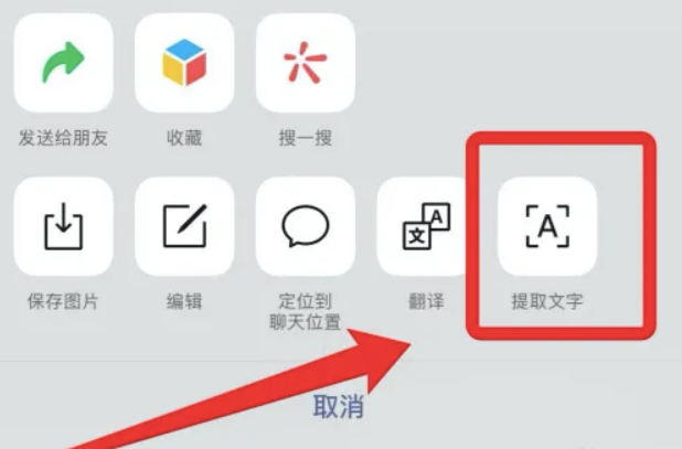 苹果提取文字功能怎么用