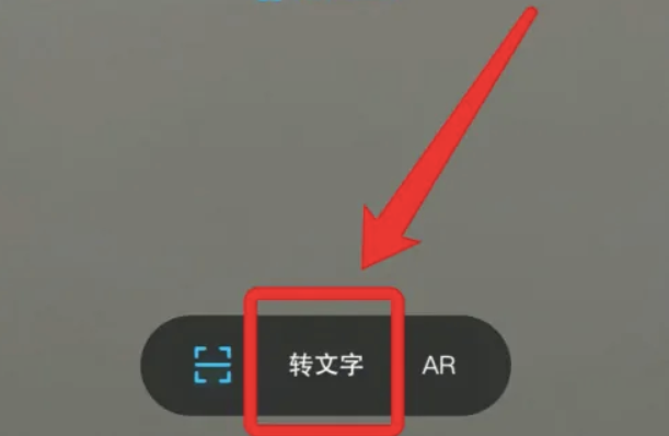 苹果提取文字功能怎么用