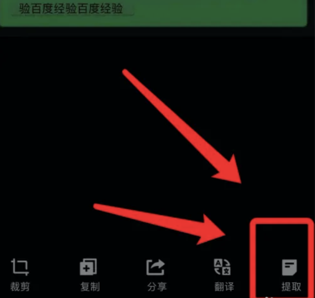 苹果提取文字功能怎么用