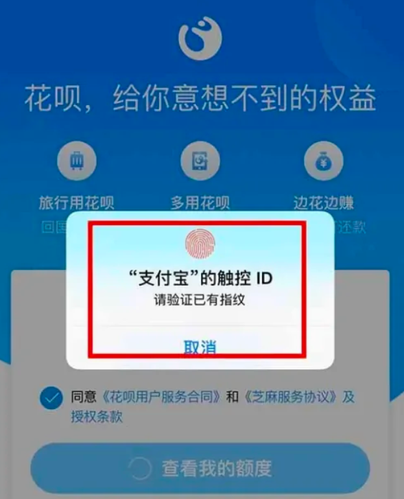 支付宝罚息能不能挂账或减免