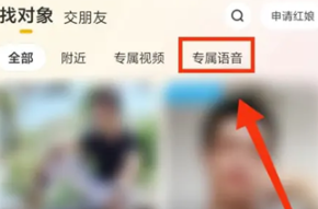 伊对APP怎么进入专属语音
