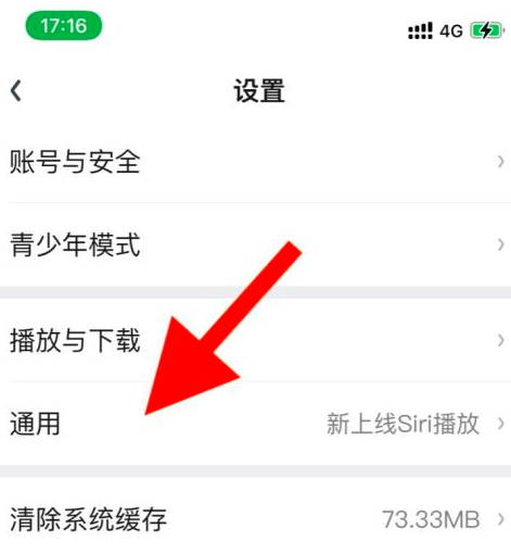 爱奇艺如何设置文字大小