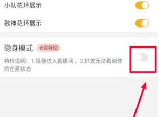 伊对如何设置隐身模式