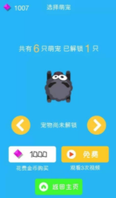 冲吧柯基