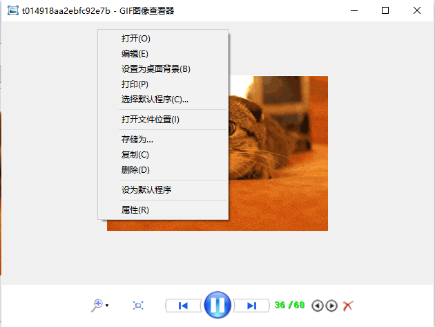 GIF图像查看器