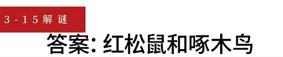 重返未来19993-15意料之外的听众谜题怎么解