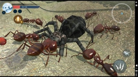 蚂蚁生存日记1