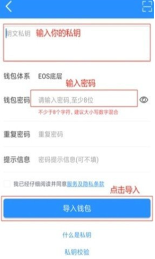 topay钱包新