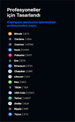 btcturk交易所