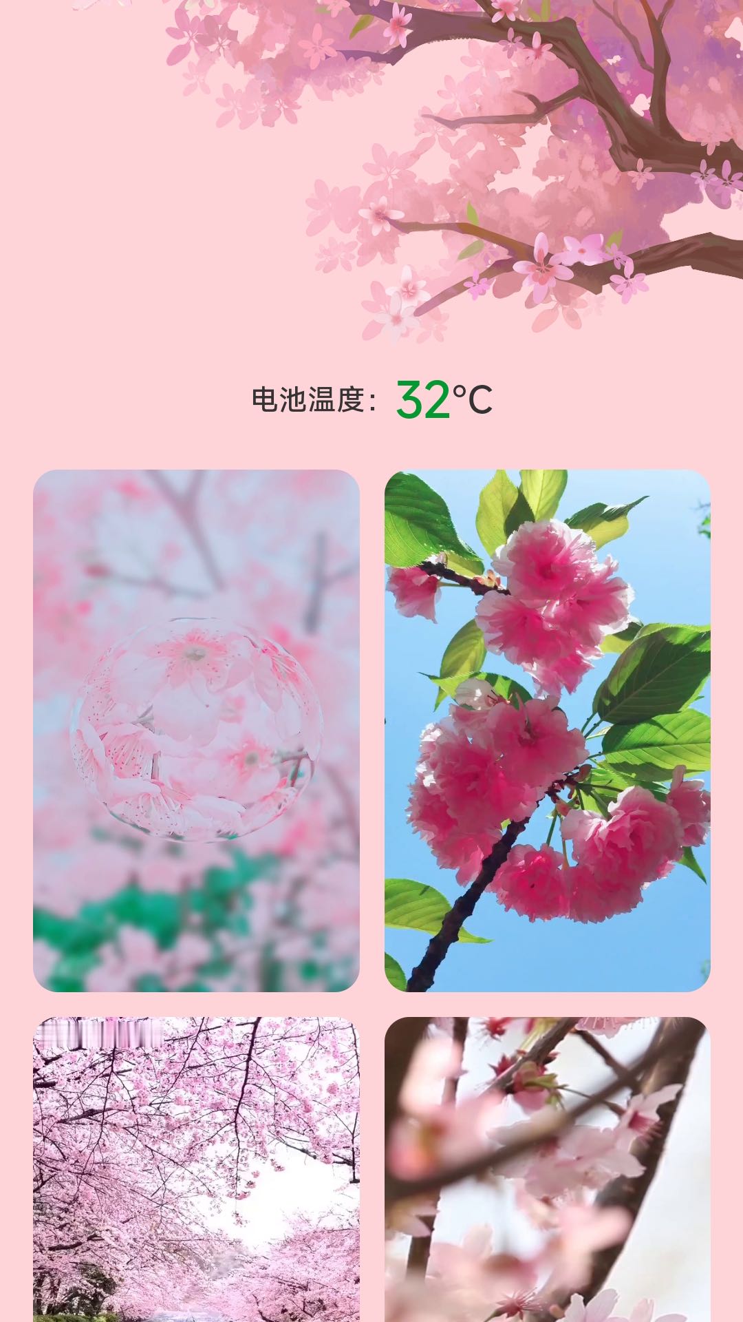 樱花充电1