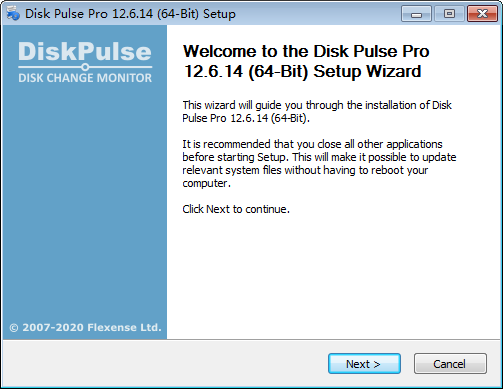 Disk Pulse Pro