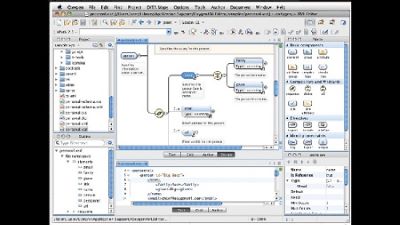 Oxygen XML Author