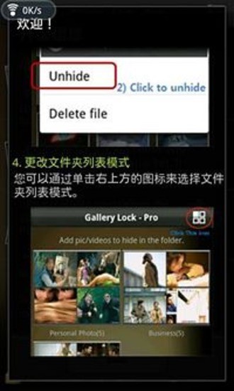 Gallery Lock Pro