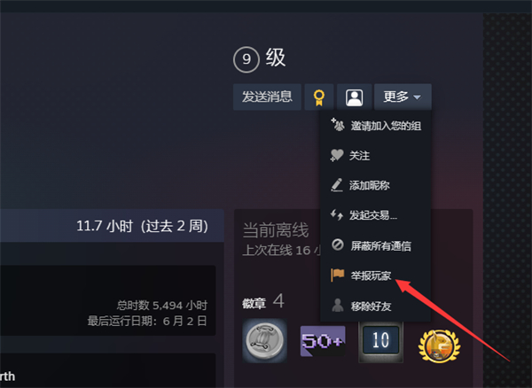 steam举报用户结果在哪