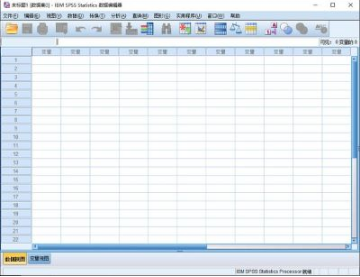 SPSS200