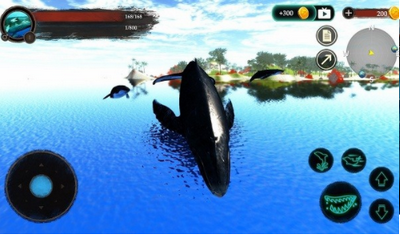 座头鲸模拟器1