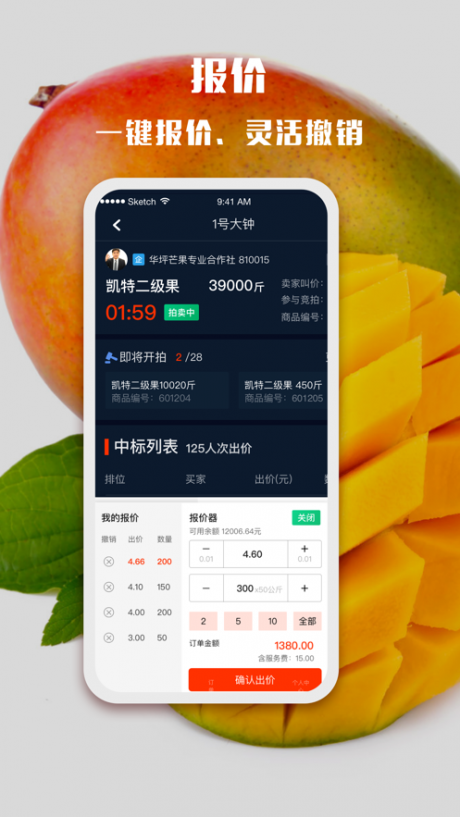 华坪芒果2
