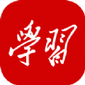 学习强国学而思网校在家上学app