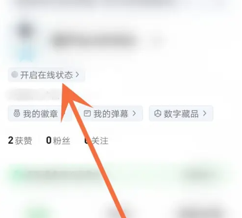 爱奇艺在线状态怎么打开