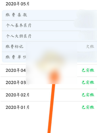 掌上12333怎么查询社保缴费