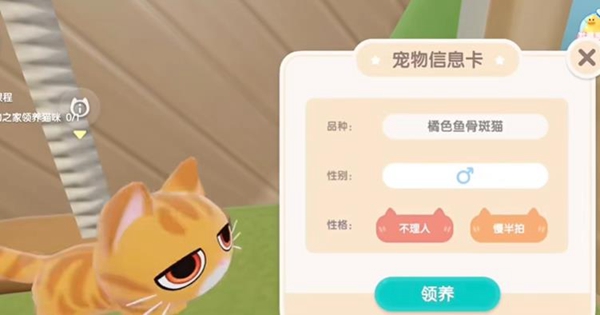 心动小镇怎么养猫