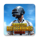 pubgmobile国际服正式版下载最新版