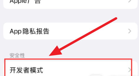 iPhone16Pro开发者模式在哪