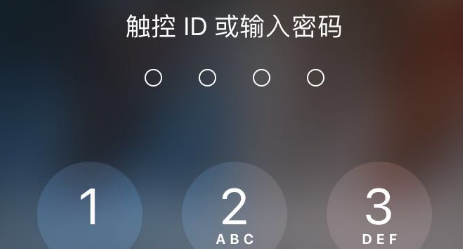 iPhone16ProMax开发者模式在哪