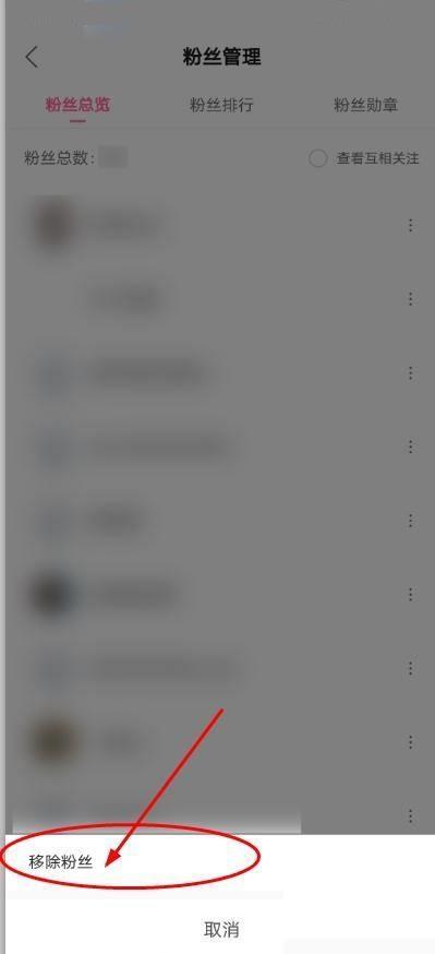 哔哩哔哩移除粉丝怎么操作