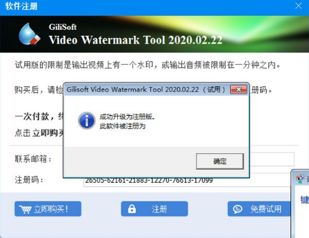 GiliSoft Video Watermark Remo0