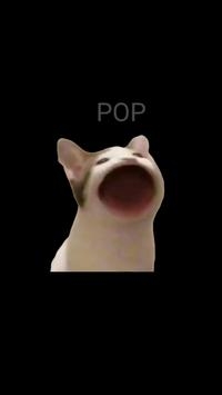 PopCat2