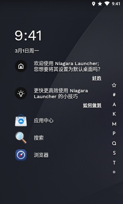 Niagara Launcher pro3