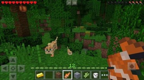 我的世界快照版（Minecraft）