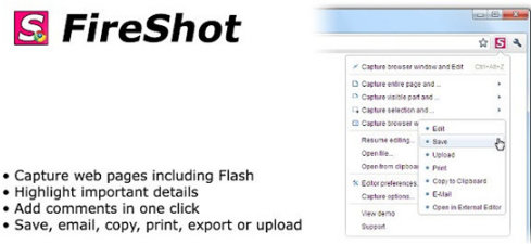 FireShot Pro0