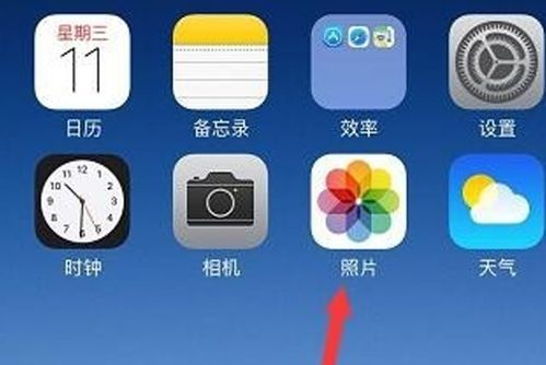 如何删除iPhone上所有照片