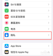 如何在iPhone上启用“应用隐私报告”