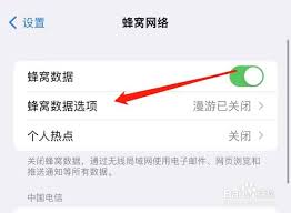 iPhone 14 Pro Max 网络信号差原因探讨