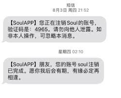 soul账号无法再次注册原因