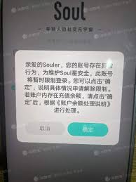 soul无缘无故就被禁言怎么办