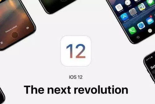 iOS17“照片”应用新功能详解