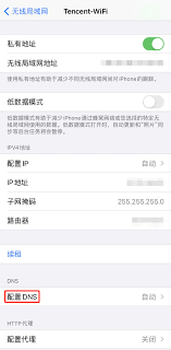 苹果手机DNS设置方法